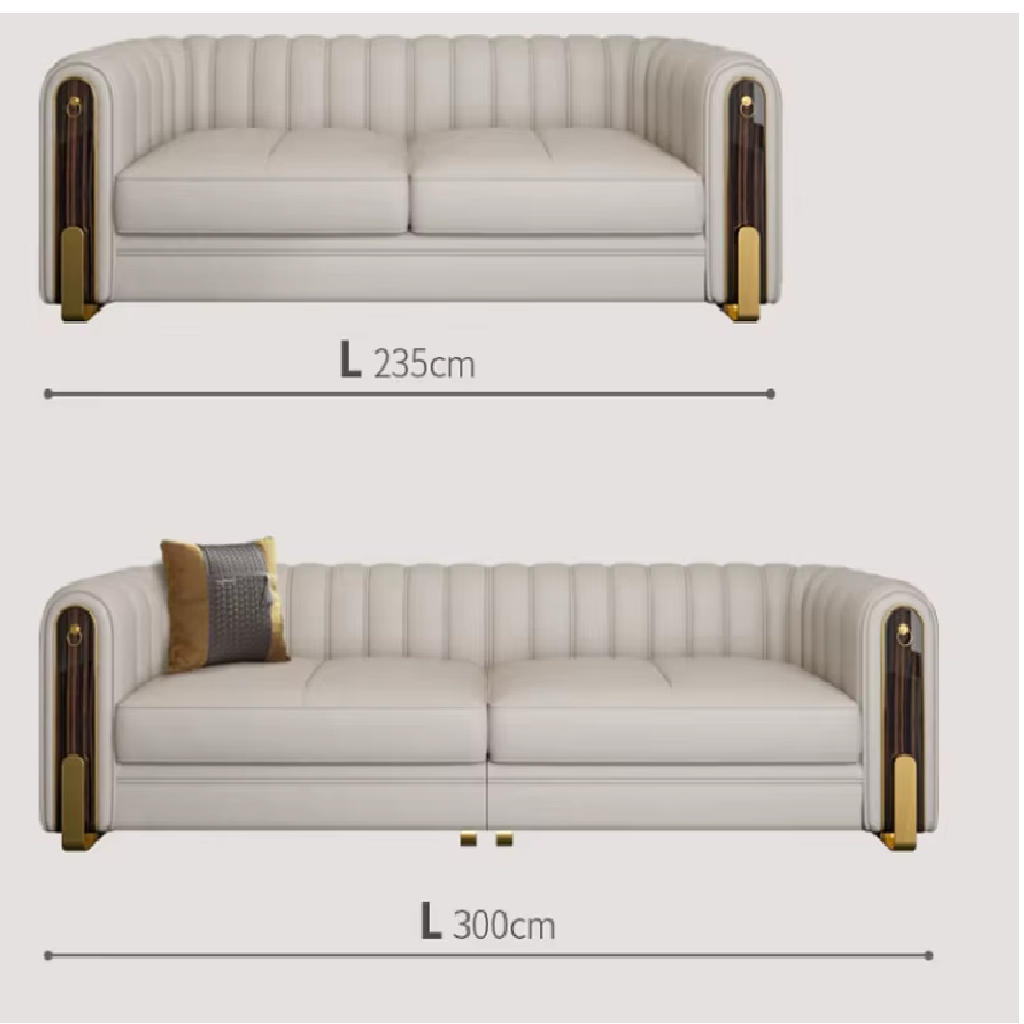 Luxury Modern Leather Sofa Set (American Design)
