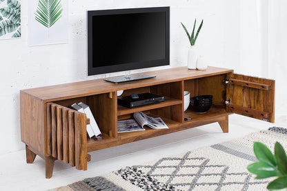 Wooden TV stand with a television on top, books, and magazines inside, in a room with a rug and plants.