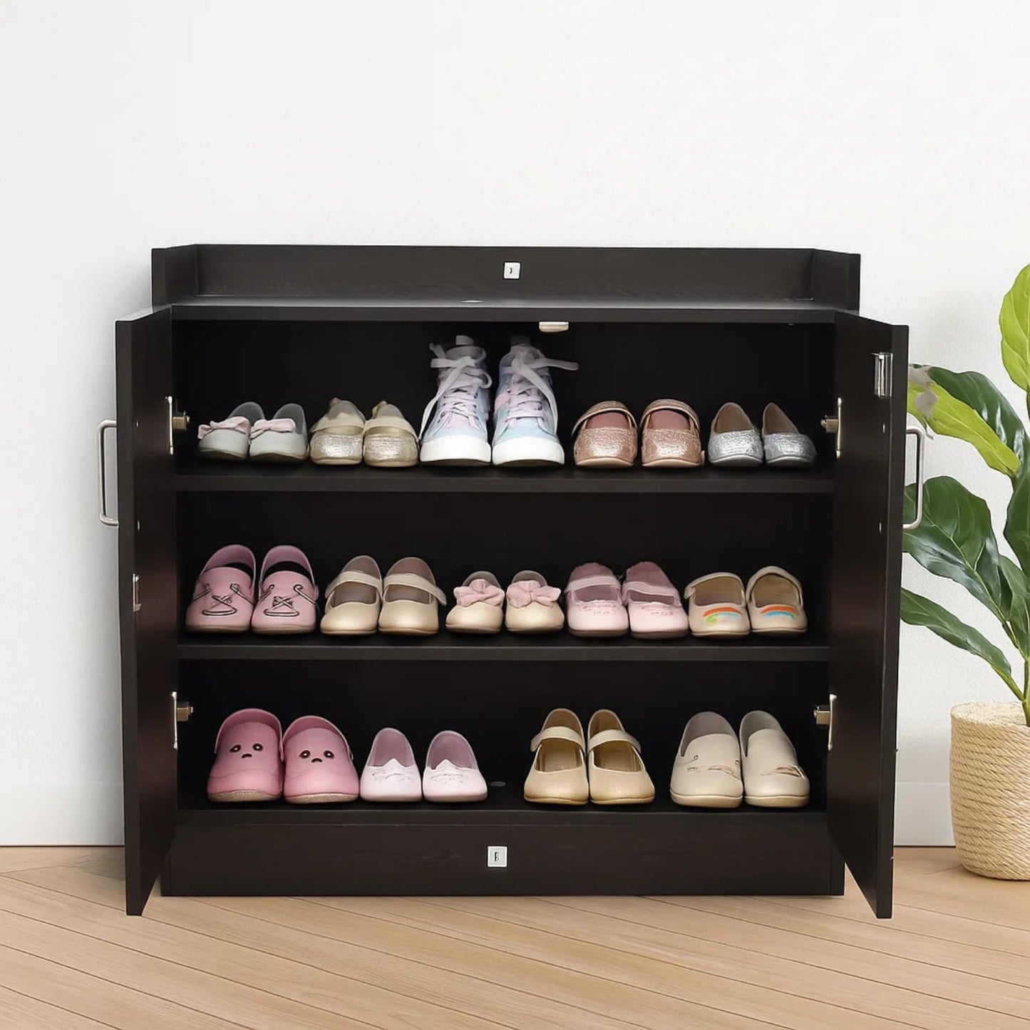 Premium Engineered Wood Shoe Rack with Door and Lock 3 Spacious Compartments for 20 to 25 Pairs (Wenge)