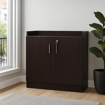 Dark brown cabinet with two doors in a room with a window and plant